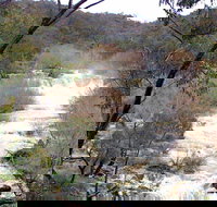 The Falls Water Falls - Sunshine Coast Tourism