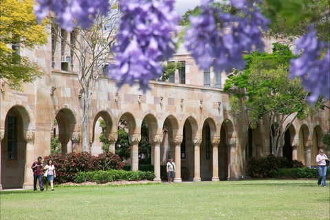 The University Of Queensland - Holiday Sunshine Coast 0