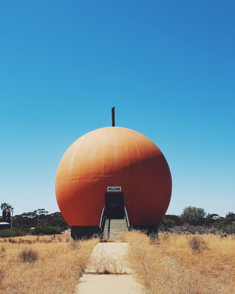 The Big Orange - Sunshine Coast Tourism 0