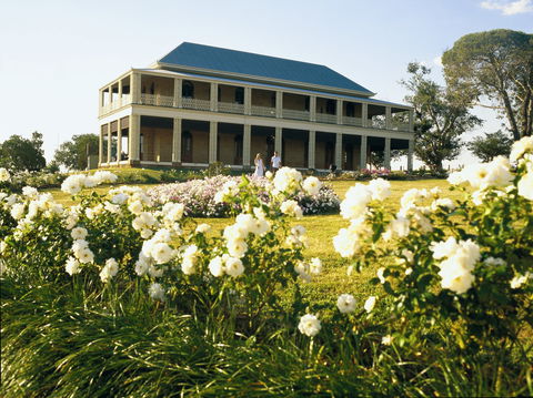 The Cedar Route - Holiday Sunshine Coast 0