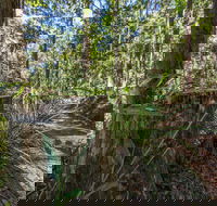 Thylogale Track - Sunshine Coast Tourism