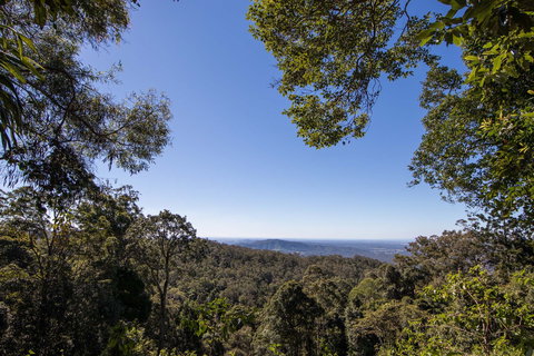 Thylogale Track - Holiday Sunshine Coast 2