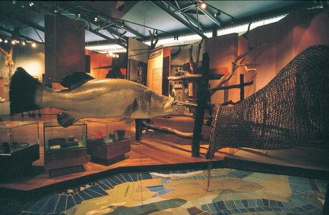 Warradjan Cultural Centre - Holiday Sunshine Coast 0