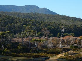 Wilmington - Holiday Sunshine Coast 1