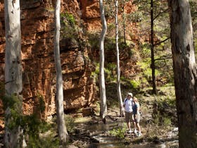 Wilmington - Holiday Sunshine Coast 2