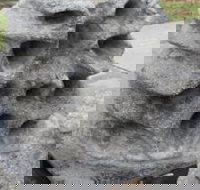 Windara Reef - Holiday Sunshine Coast