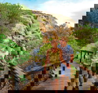 Woody Island Nature Reserve - Holiday Sunshine Coast