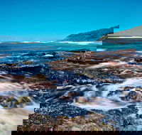 Wyrrabalong National Park - Holiday Sunshine Coast