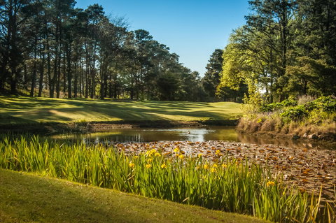 Yowani Country Club Incorporated - Holiday Sunshine Coast 2