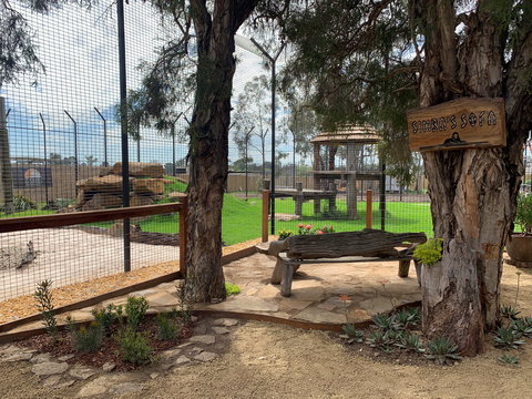 Zambi Wildlife Retreat - Sunshine Coast Tourism 1