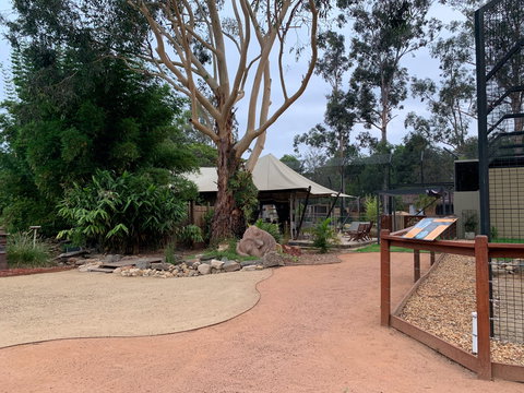 Zambi Wildlife Retreat - Sunshine Coast Tourism 2