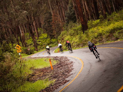7 Peaks Ride - Lake Mountain - Holiday Sunshine Coast 1