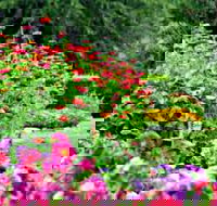 Alma Park - Sunshine Coast Tourism