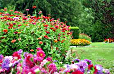 Alma Park - Holiday Sunshine Coast 0