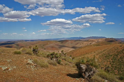 Arden Hills 4WD Track - Sunshine Coast Tourism 0