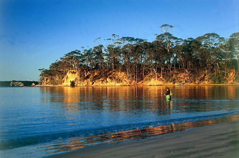 Batehaven - Sunshine Coast Tourism 1