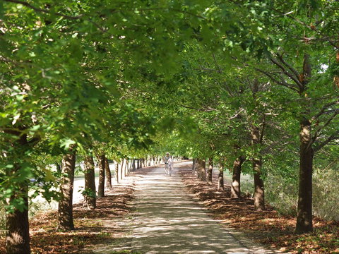 Beechworth To Everton Station 16km - Holiday Sunshine Coast 1