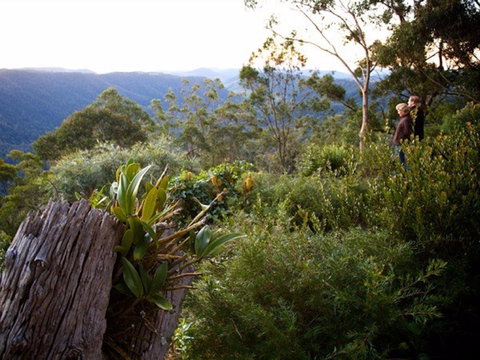Binna Burra - Holiday Sunshine Coast 1