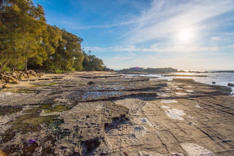 Bindijine Beach - Sunshine Coast Tourism 0