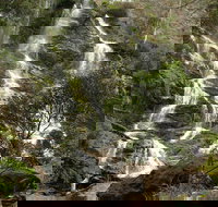 Buddong Falls Walking Track - Sunshine Coast Tourism