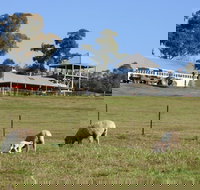 Calmsley Hill City Farm - Sunshine Coast Tourism