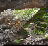 Cave Creek Walking Track - Holiday Sunshine Coast