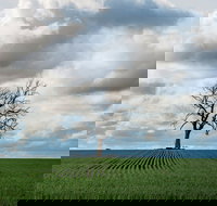 Clare Valley - Sunshine Coast Tourism