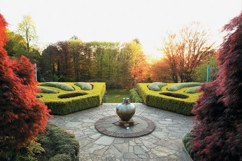 Cloudehill Gardens - Sunshine Coast Tourism 0