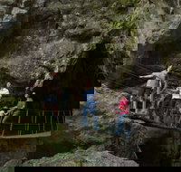 Day trips from Rockhampton - Sunshine Coast Tourism