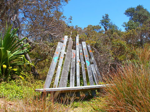 Diggers Headland - Sunshine Coast Tourism 1