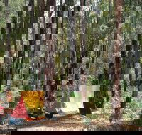 Dwellingup - Holiday Sunshine Coast