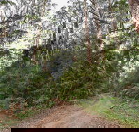 End Peak walking track - Holiday Sunshine Coast