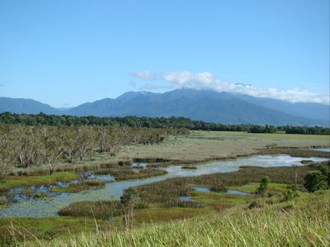 Eubenangee Swamp National Park - Holiday Sunshine Coast 0