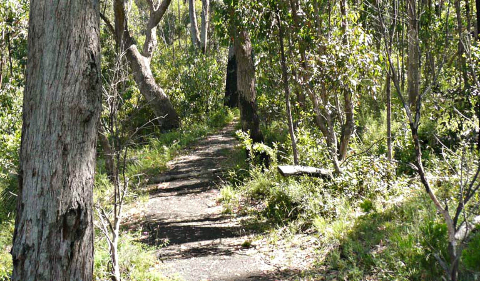  Sunshine Coast Tourism