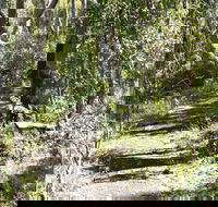 Euglah Rock Walking Track - Sunshine Coast Tourism