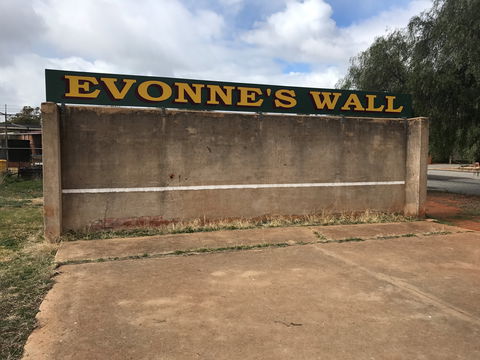 Evonne Goolagong-Cawley Wall - Sunshine Coast Tourism 1