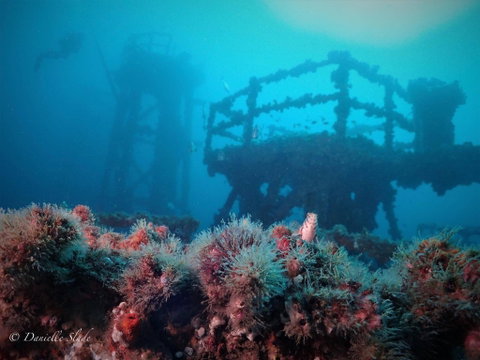 Ex HMAS Adelaide - Holiday Sunshine Coast 0