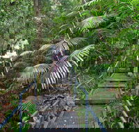 Falls walking track