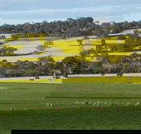 Fini Olives - Sunshine Coast Tourism