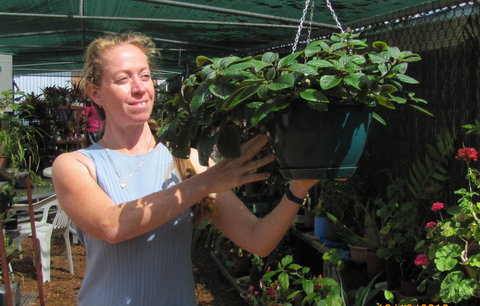 Folk Art Cooperative - Holiday Sunshine Coast 1