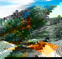 Gayndah's Big Orange - Holiday Sunshine Coast