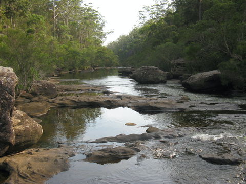 Georges River Nature Reserve - Holiday Sunshine Coast 2