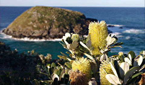 Green Island Walking Track - Sunshine Coast Tourism 0