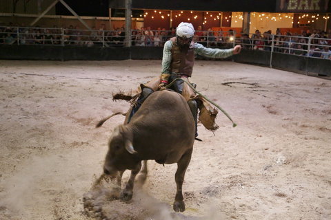 Great Western Hotel - Sunshine Coast Tourism 2