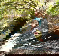 Haig Street Quarry Bushland Reserve Trails - Holiday Sunshine Coast