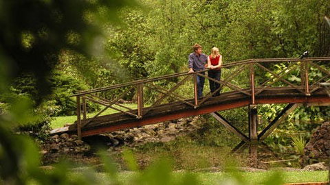 Hamilton - Holiday Sunshine Coast 1