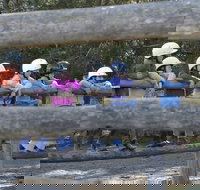 Harlow Park Horse Riding - Sunshine Coast Tourism
