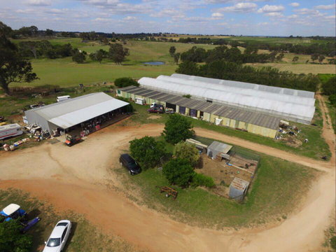 Hill-Lock Orchard - Sunshine Coast Tourism 0