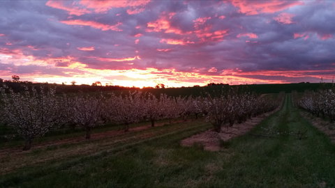 Hill-Lock Orchard - Sunshine Coast Tourism 2