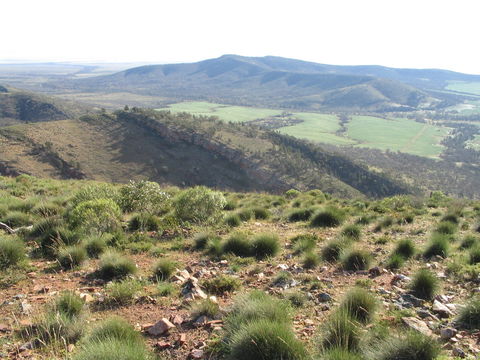 Horseshoe Rim 4WD Adventure Track - Holiday Sunshine Coast 0